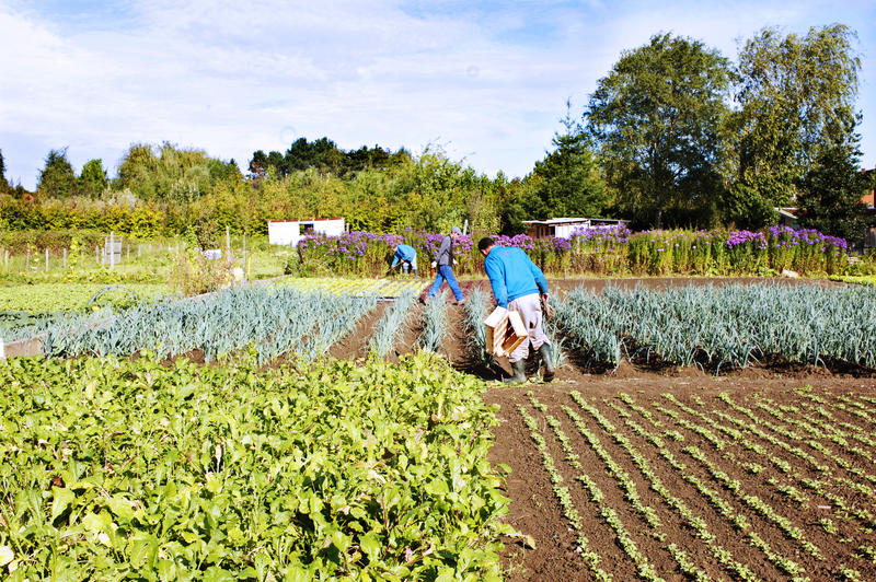 ENT HautsdeFrance » Des Potagers Dans Nos Lycées  ENT HautsdeFrance