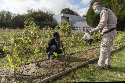 Lycées : remportez la coupe de France du potager ! 4