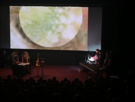 PEPS et la création d'un spectacle audiovisuel 8