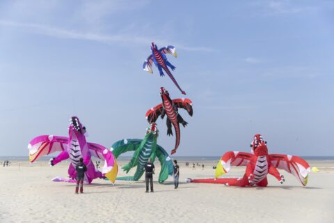 Les Cerfs-Volants de Berck-sur-Mer sont de retour pour une 37e édition ! 124