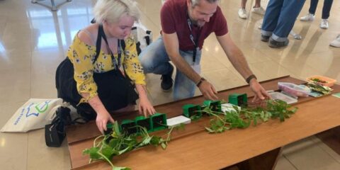 Coupe du Potager Hauts-de-France : lycéens, lancez-vous ! 5