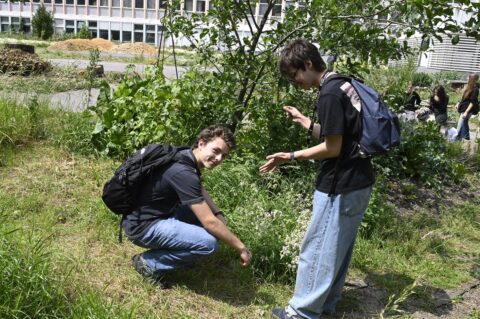 Santé, orientation et développement durable, les jeunes au cœur des priorités régionales 4