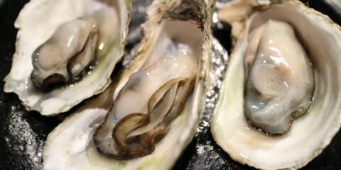 Gastronomie : les élèves du lycée agricole de Coulogne, ostréiculteurs de demain 18