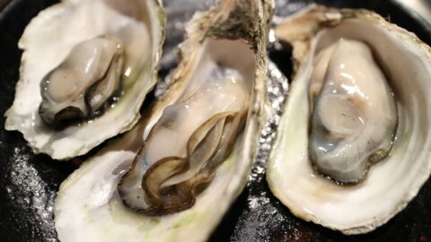 Gastronomie : les élèves du lycée agricole de Coulogne, ostréiculteurs de demain 14