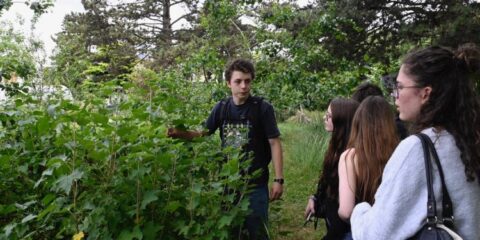 La Coupe du Potager des lycéens fait son grand retour en Hauts-de-France ! 1 La Coupe du Potager des lycéens fait son grand retour en Hauts-de-France ! 1