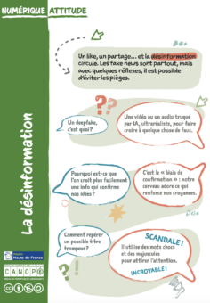 Fiche « Numérique attitude » : la désinformation 11