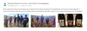 L'art dans le champagne